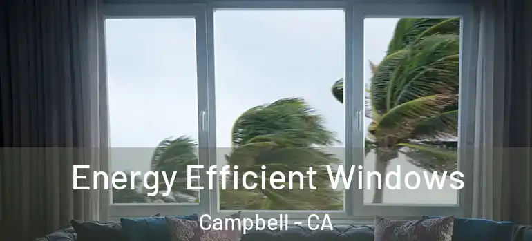  Energy Efficient Windows Campbell - CA