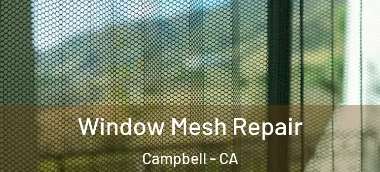  Window Mesh Repair Campbell - CA